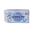 Sofy Cooling Dry Sanitary Day Wing Maxi 25cm 10PCS