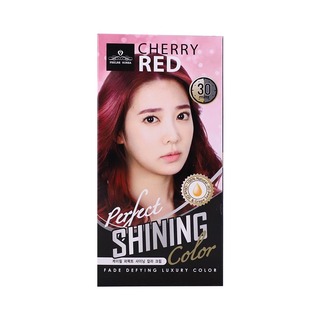 Feelre Korea Perfect Shining Color 60ML 4N