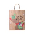 X`Mas Gift Bag A021108