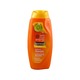 Makarizo Hair Energy Fibertherapy Conditioning Shampoo 170ML (Kiwi Extract)