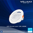 Wellmax LED Ceiling Light Series 12W L-CL-0100