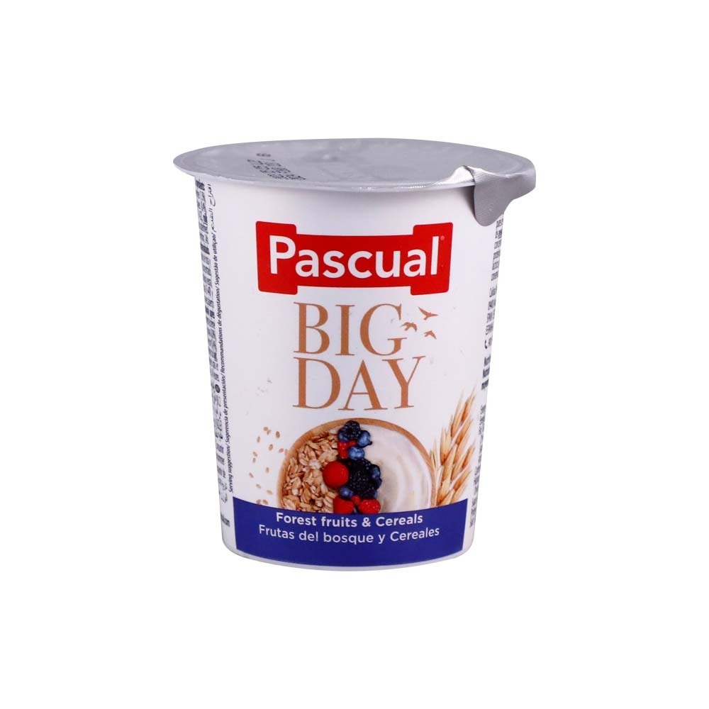 Pascual Yoghurt Big Day Fruits&Cereals 125G