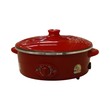 Hanabishi Electric Frying Pan Hep-190