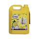Snowy Dishwashing Lemon 5L