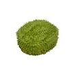 Seasons Durian Majesty Cake 500G