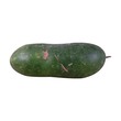 Winter Melon Whole