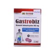 Summr Gastrobiz Bismuth Subsalicylate 262MG 30PCS