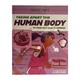 Taking Apart The Human Body