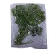 Pea Leaves