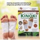 Beauty House Kinoki Cleansing Detox Foot Pads