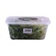 Inno Greens Sunflower Microgreens 150G