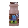 Dutch Mill Pasteurized Milk Choco-Malt 155ML