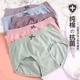 Beauty House Underwear Box Multicolour 5PCS