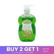 Eco Clean Hand Wash With Pump (Green Tea) 500ML