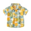 Hawaii Shirt 4yr  1873