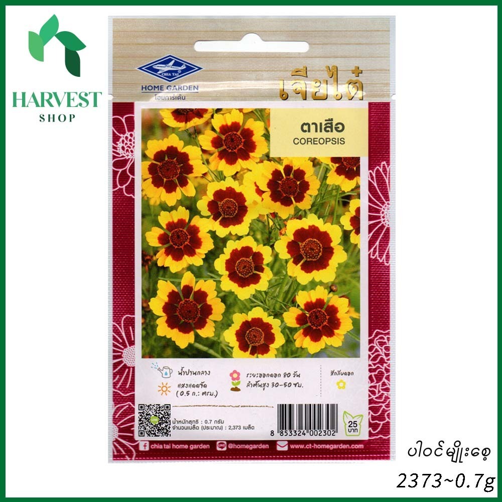Harvest Shop ကျားမျက်လုံးစိန်ခြယ်မျိုးစေ့ HF 022