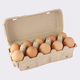 City Farm Free Range Eggs 10PCS