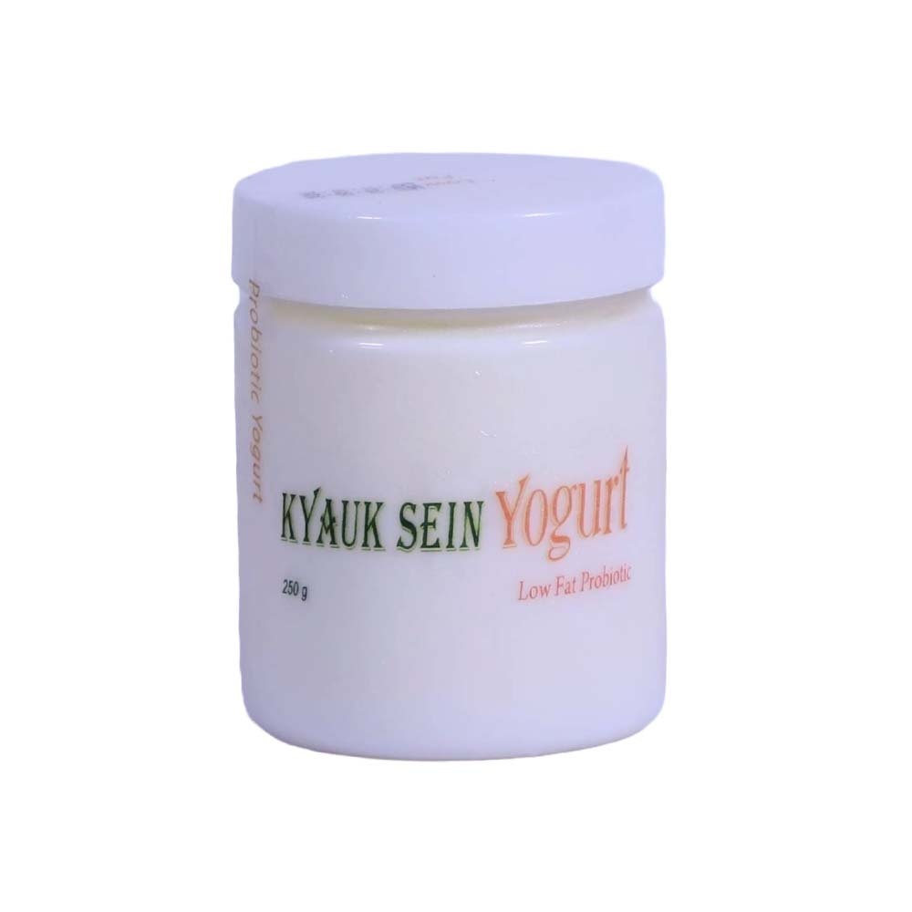 Kyauk Sein Yogurt Low Fat 250G