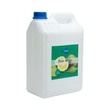 My Care Dish Wash Lime 5LTR