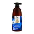 Eushido & Insin V04 Ginger Fragrant Essential Oil Shampoo