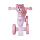 BP Balance Bike No.100