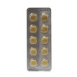 Hovid Ginkgo Biloba Extract 80MG Tablets 10PCS