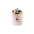 Flower Scented Candle SHATSC001