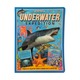 Voyages Of Underwater Expedition