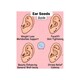 Beauty House Ear Seeds Massage Sticker 600PCS