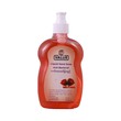 City Value Hand Soap Anti-Bact Rose 500ML (U)