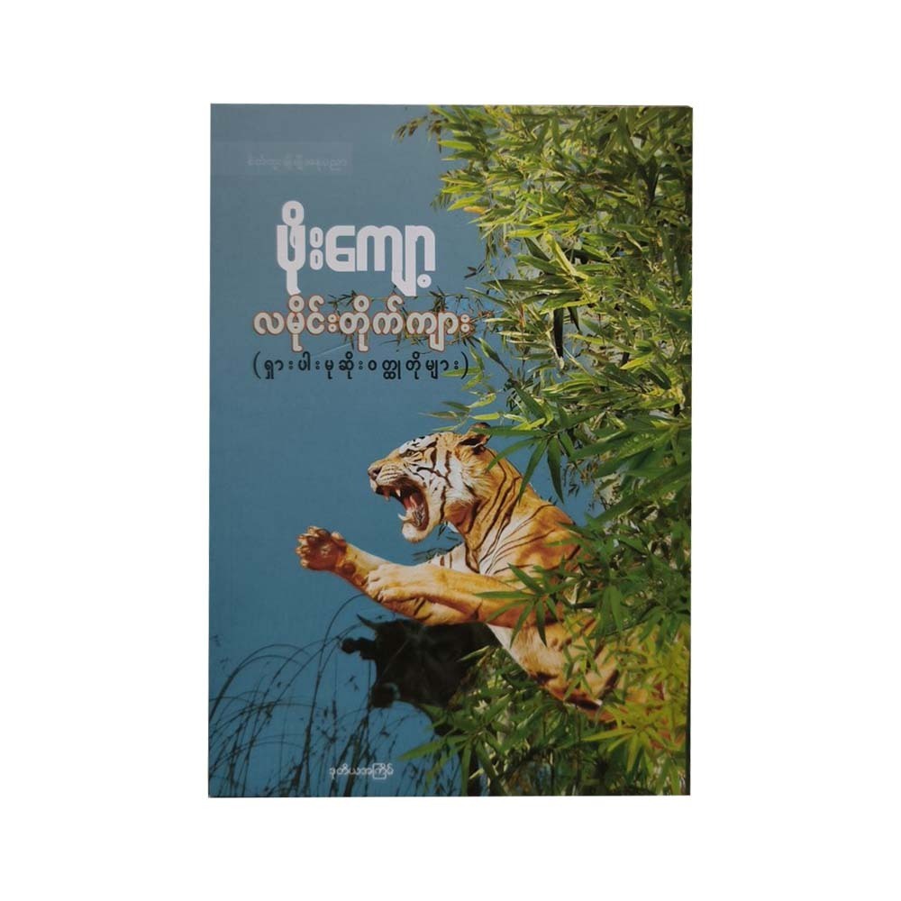 A Fearless Tiger (Phoe Kyawt)
