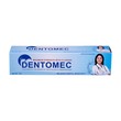 Dentomec Toothpaste 75G