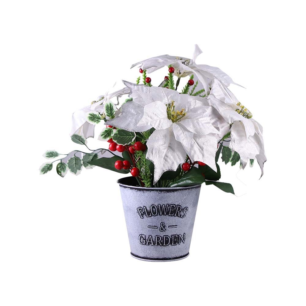 Sdm Point Settia Flower X-11