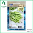 Harvest Shop လမင်းပန်းအဖူးမျိုးစေ့ LF 039