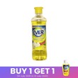 Ever Dishwashing Liquid 500ML