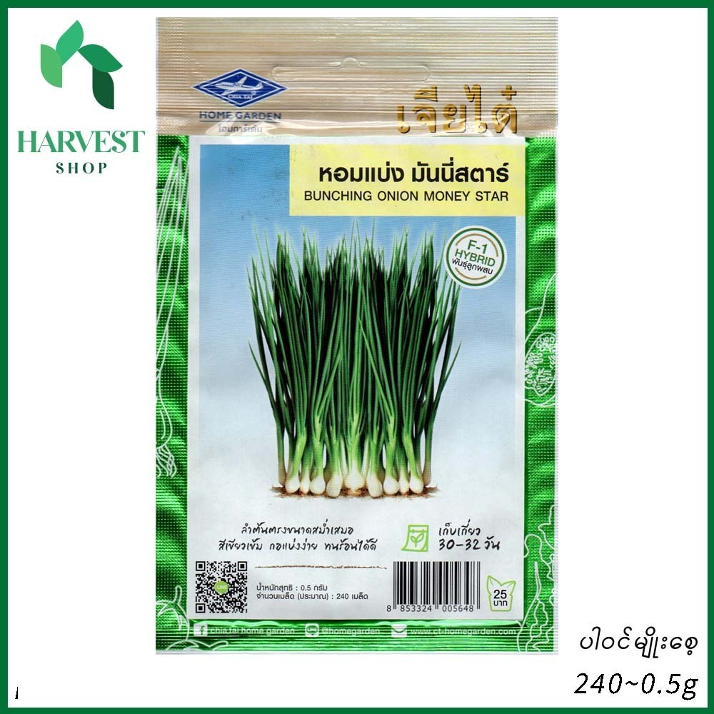 Harvest Shop ကြက်သွန်မြိတ်မျိုးစေ့ HLF 001