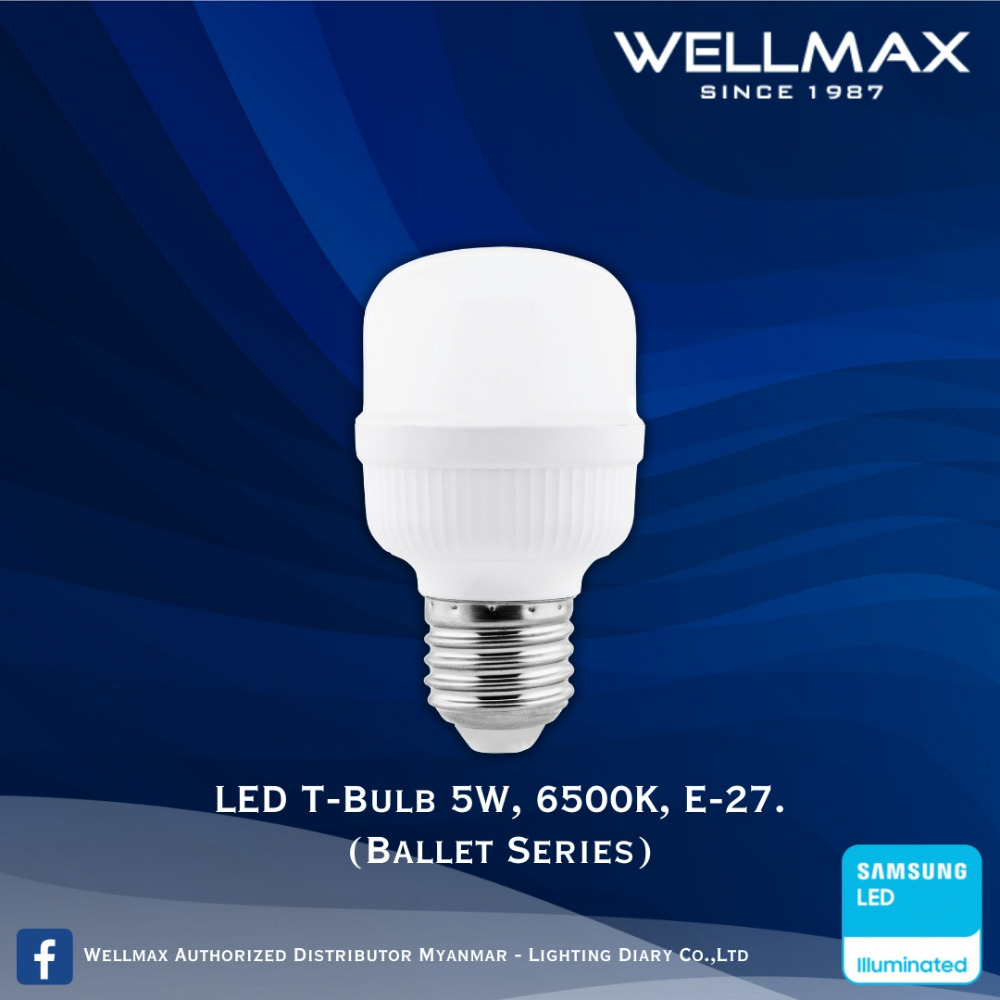 Wellmax Ballet Series LED T Bulb (E27/ B22) 5W L-BL-0600