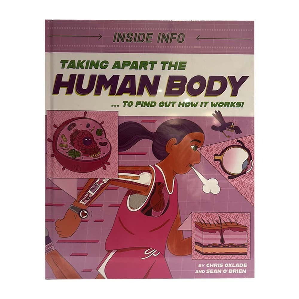 Taking Apart The Human Body