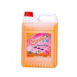Cleanlux Liquid Soap (Orange) 5 LTR