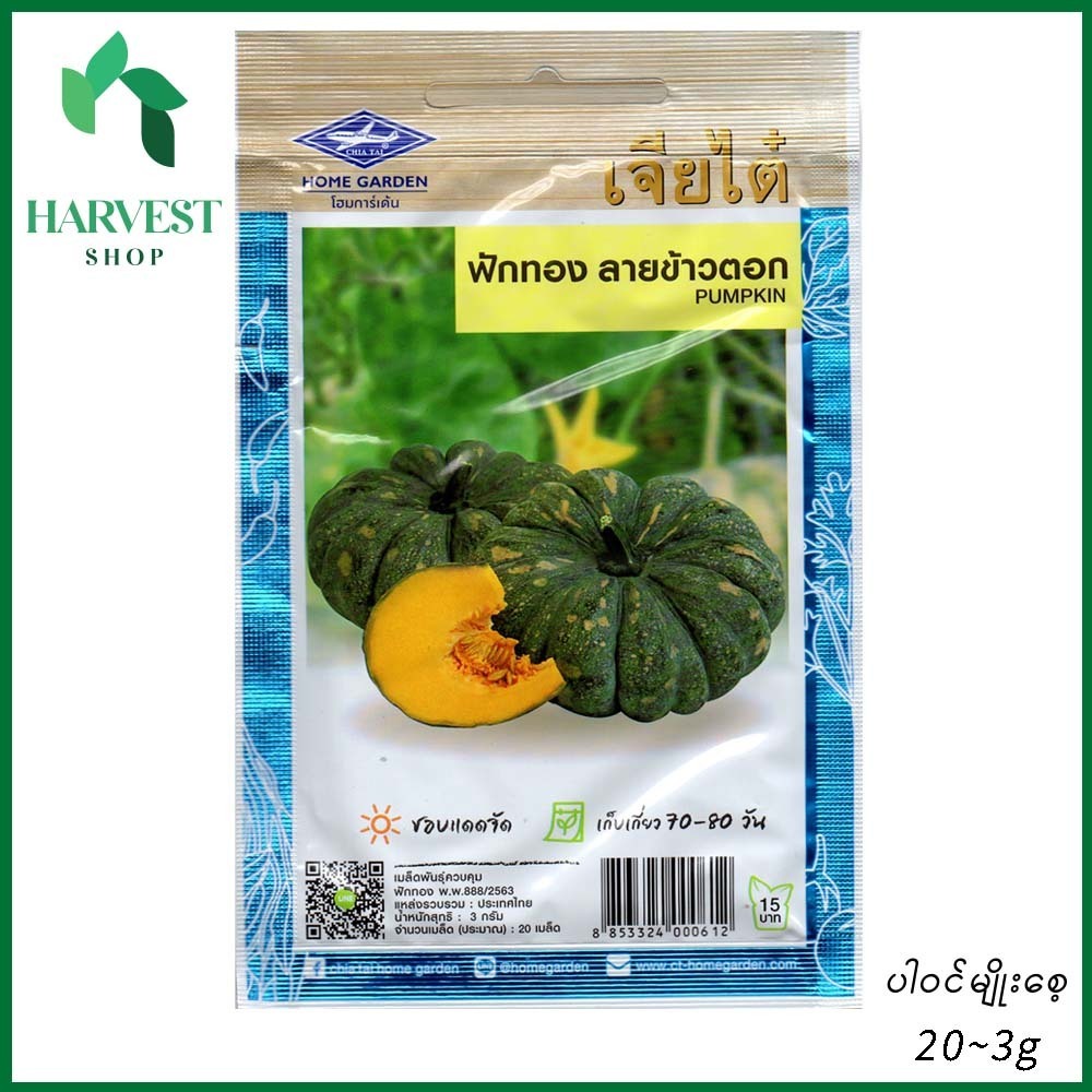 Harvest Shop ရွှေဖရုံသီးမျိုးစေ့ PK 001