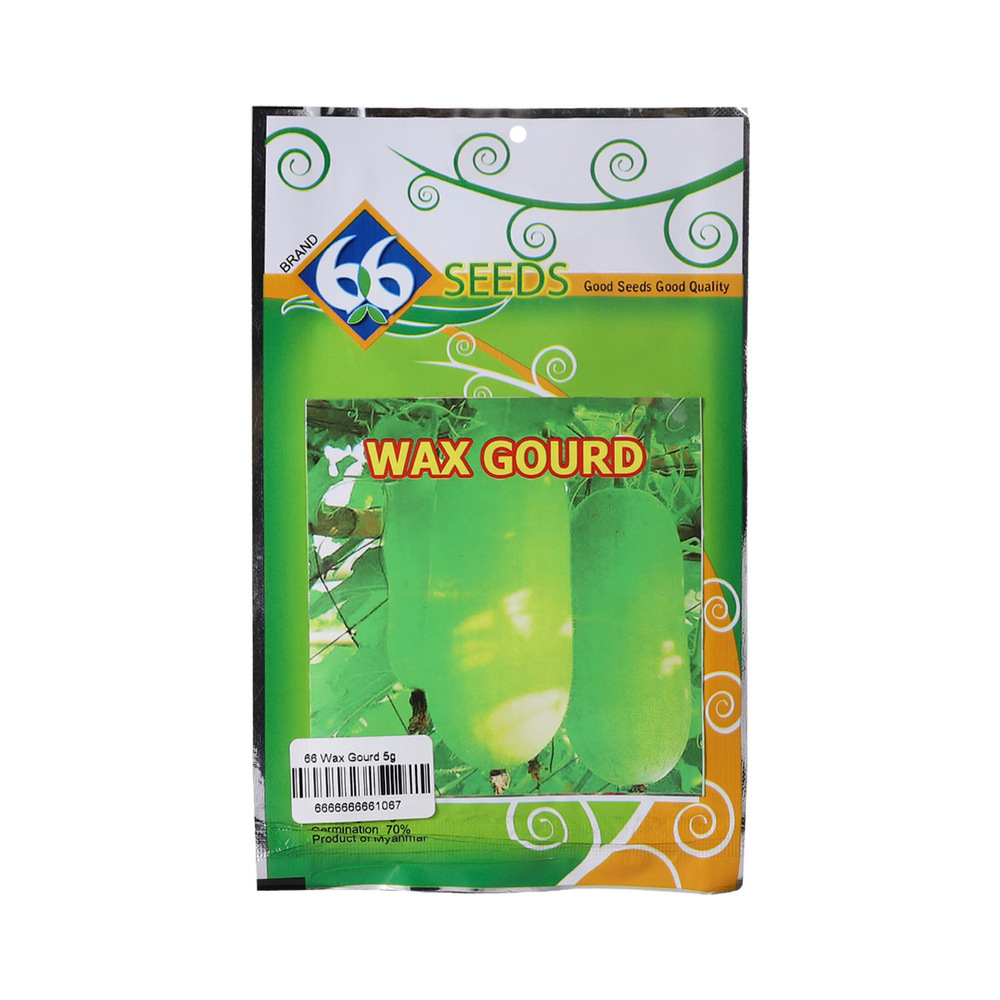 66 Wax Gourd Seed 5G