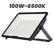 Wellmax Submarine Flood Light 100W 6500K
