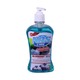 Nas Care Antibacterial Hand Wash Blueberry 500ML