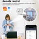 Tuya Smart life Wifi Metering Socket Smart Plug SMT0000561