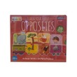 Steam Puzzle Learn Your First Opposites