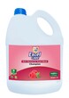 Excel Care Champion Anti-Bacteria Hand Wash 5L (Raspberry) 