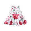 Baby Girl Allover Floral Print Naia Tank Dress (9-12 Months) 20565109