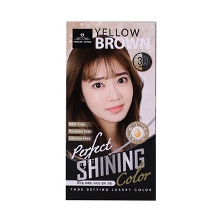 Feelre Korea Perfect Shining Color 60ML 4N