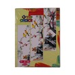 Top Choice Chinese Writing Book Apple 3PCS