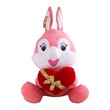 SH Valentine Stuff Toy Asst 55CM No.0052